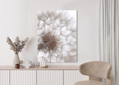 Plakat Puszysty Beżowy Dmuchawiec