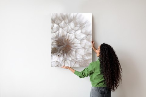 Plakat Puszysty Beżowy Dmuchawiec