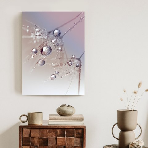 Plakat Rosa Na Różowym Dmuchawcu