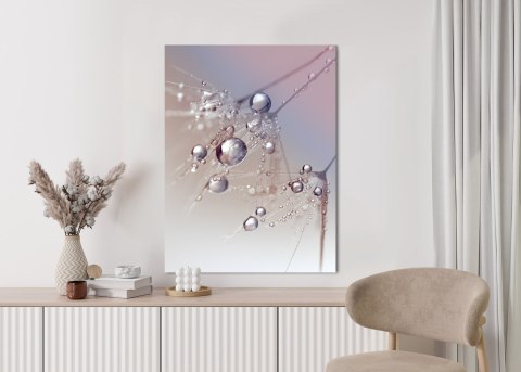 Plakat Rosa Na Różowym Dmuchawcu