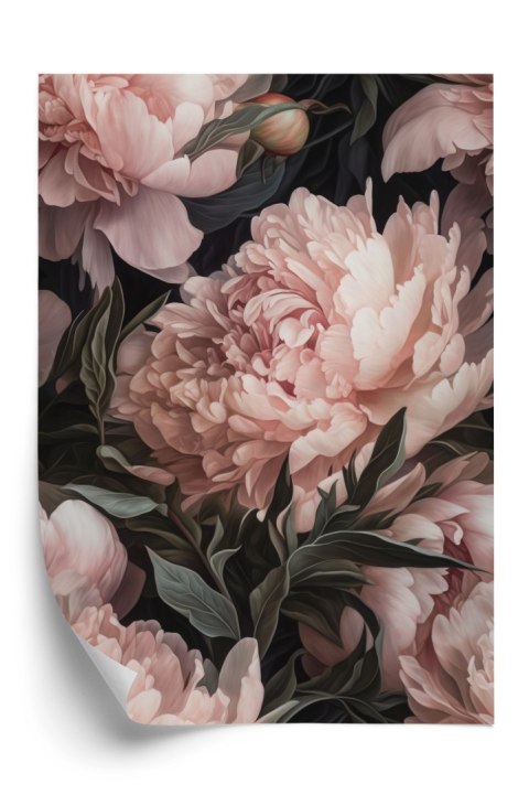 Plakat Bukiet Pastelowych Piwonii W Różowym Kolorze