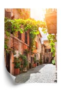 Plakat Klimatyczna Uliczka W Trastevere