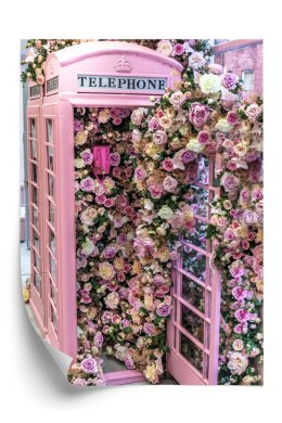 Plakat Kolorowe Kwiaty W Różowej Budce Telefonicznej