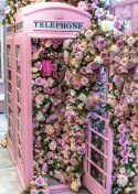 Plakat Kolorowe Kwiaty W Różowej Budce Telefonicznej