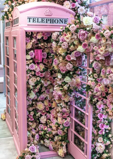 Plakat Kolorowe Kwiaty W Różowej Budce Telefonicznej