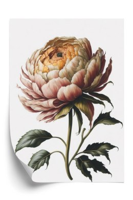 Plakat Piękna Piwonia Na Jasnym Tle