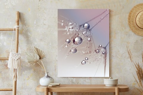 Plakat Rosa Na Różowym Dmuchawcu