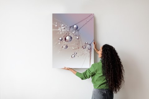 Plakat Rosa Na Różowym Dmuchawcu