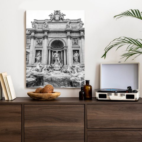 Plakat Fontanna Di Trevi W Rzymie Z Posągami W Czerni I Bieli