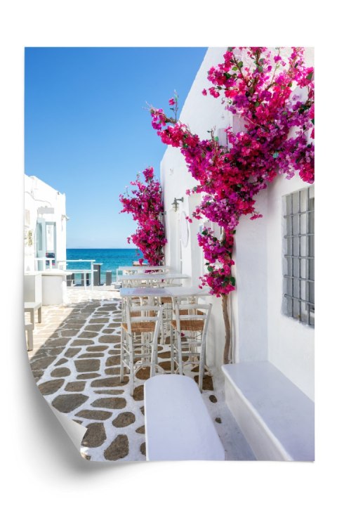 Plakat Grecka Architektura Z Różowymi Kwiatami I Widokiem Na Morze