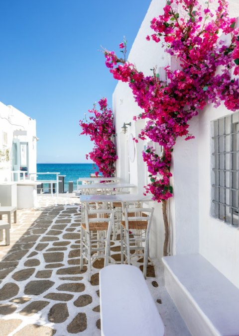 Plakat Grecka Architektura Z Różowymi Kwiatami I Widokiem Na Morze
