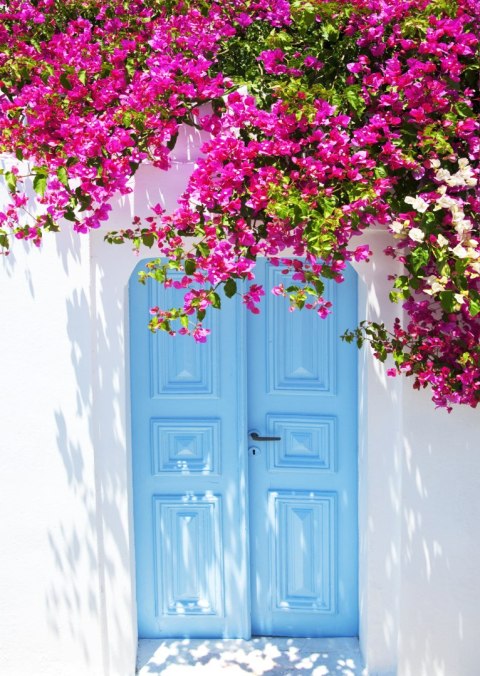 Plakat Niebieskie Drzwi I Różowe Kwiaty Tradycyjna Grecka Architektura