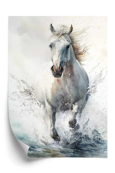 Plakat Biały Koń Galopujący W Wodzie