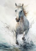 Plakat Biały Koń Galopujący W Wodzie