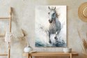 Plakat Biały Koń Galopujący W Wodzie