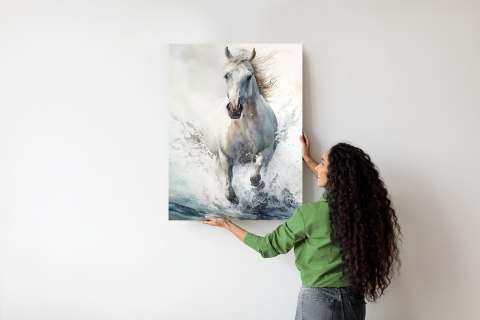 Plakat Biały Koń Galopujący W Wodzie