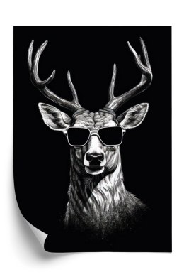 Plakat Czarno-Biały Jeleń W Okularach