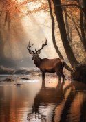Plakat Jesienny Las Z Jeleniem W Wodzie