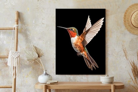 Plakat Koliber W Locie