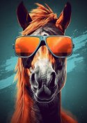 Plakat Koń W Przeciwsłonecznych Okularach