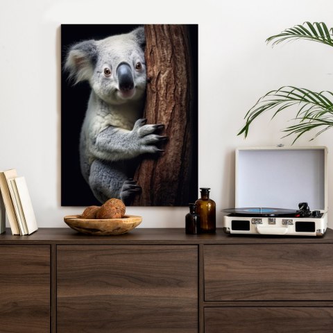 Plakat Miś Koala Obejmujący Drzewo