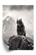Plakat Niedźwiedź Grizzly Na Wysokiej Skale