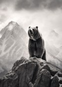 Plakat Niedźwiedź Grizzly Na Wysokiej Skale