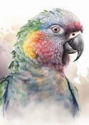 Plakat Papuga Na Akwareli