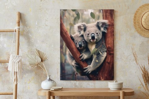Plakat Dwa Misie Koala Na Gałęzi