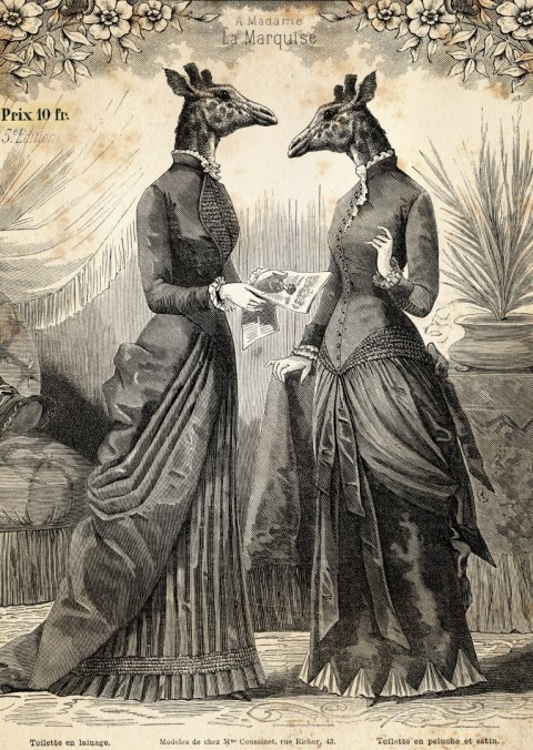 Plakat Ilustracja Z Żyrafami Vintage