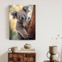Plakat Koala Na Rozmytym Tle