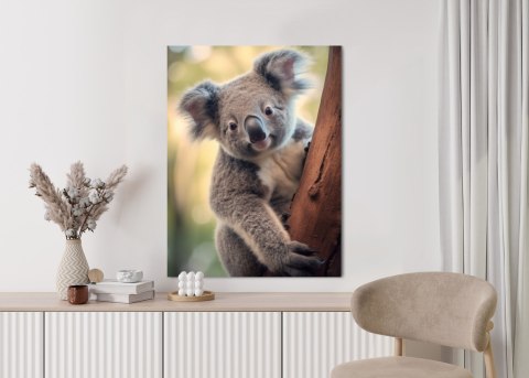 Plakat Koala Na Rozmytym Tle