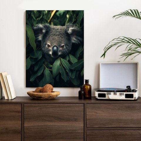 Plakat Koala Siedzący W Liściach