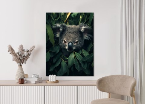 Plakat Koala Siedzący W Liściach