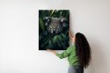 Plakat Koala Siedzący W Liściach