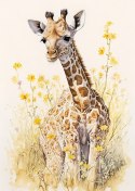 Plakat Mała Żyrafa Na Łące