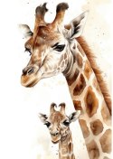 Plakat Mała Żyrafa Z Mamą
