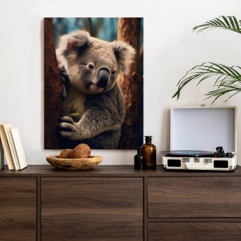 Plakat Miś Koala Na Drzewie