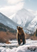 Plakat Niedźwiedź Grizzly Przed Śnieżnym Pasmem Górskim