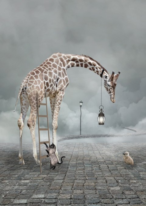 Plakat Surrealistyczna Żyrafa Kot Drabina I Lampa