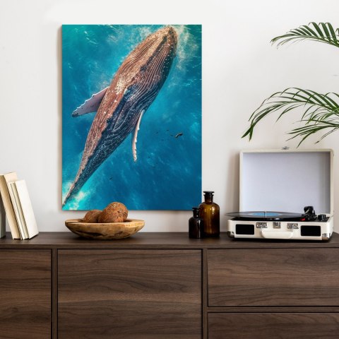 Plakat Wieloryb Pływający W Błękitnym Oceanie