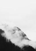 Plakat Czarno Biały Krajobraz Górskiego Lasu We Mgle