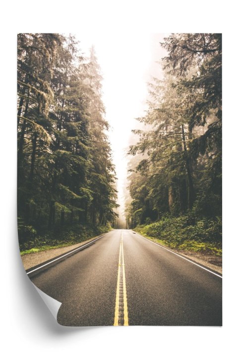 Plakat Droga Pośród Lasu