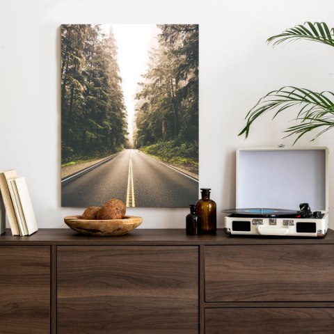 Plakat Droga Pośród Lasu