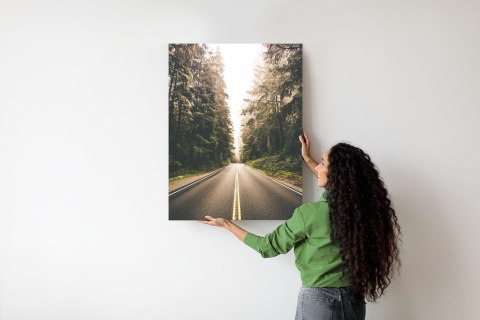 Plakat Droga Pośród Lasu