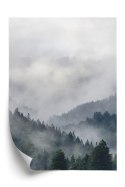 Plakat Drzewa Na Górskich Wzgórzach We Mgle