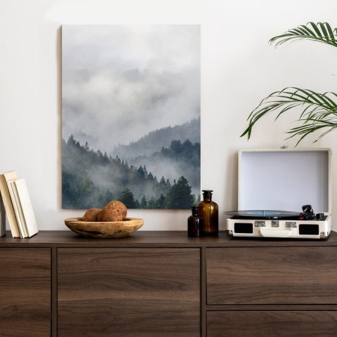 Plakat Drzewa Na Górskich Wzgórzach We Mgle