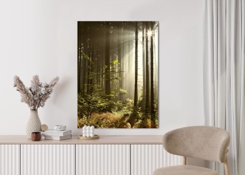 Plakat Dzika Roślinność W Lesie O Poranku