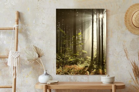 Plakat Dzika Roślinność W Lesie O Poranku