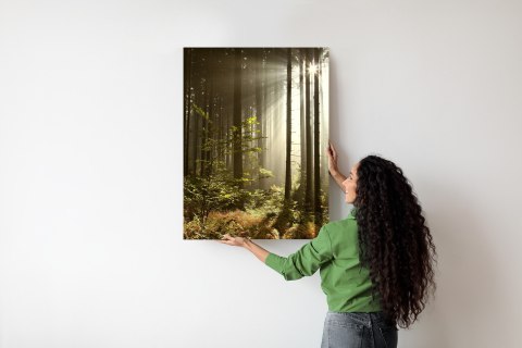 Plakat Dzika Roślinność W Lesie O Poranku